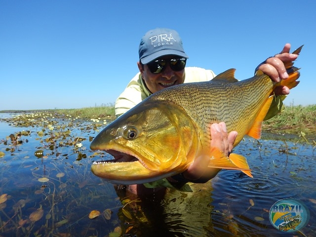 PIRA LODGE - Pantanal Argentino - Temporada 2.016